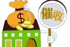 靖西为什么选择专业追讨公司来处理您的债务纠纷？